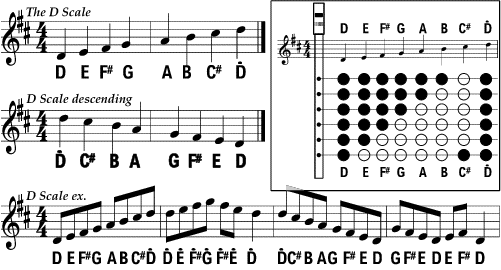 D Scale Exercise