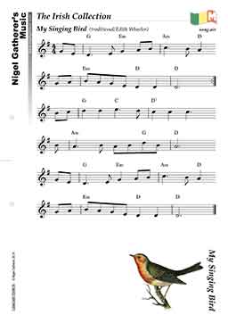 My Singing Bird
